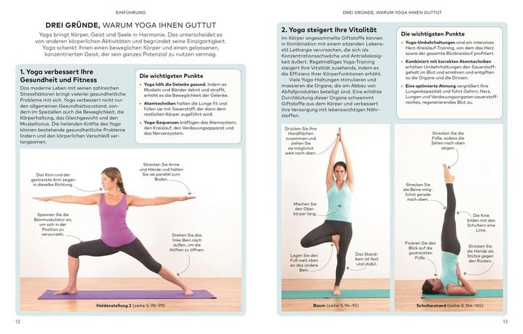 Produktbild: Die kleine Yoga-Schule