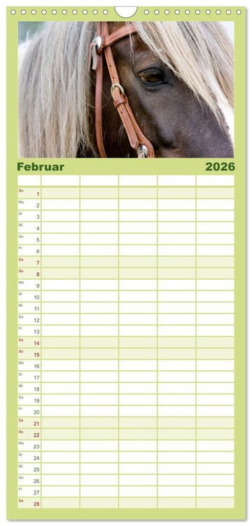 Produktbild: Familienplaner 2026 - Irish Tinker mit 5 Spalten (Wandkalender, 21 x 45 cm) CALVENDO