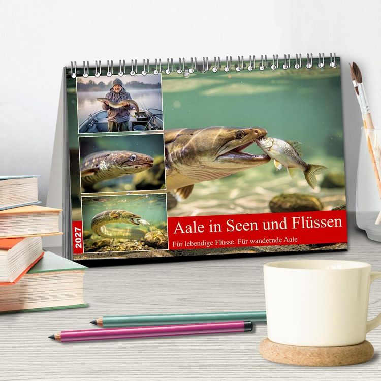 Produktbild: Aale in Seen und Fl&uuml;ssen (Tischkalender 2027 DIN A5 quer), CALVENDO Monatskalender