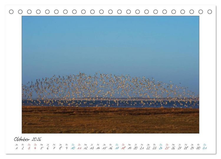 Produktbild: Amrum - Farben einer Insel (Tischkalender 2026 DIN A5 quer), CALVENDO Monatskalender