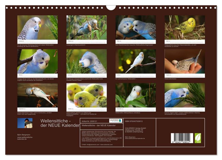 Produktbild: Wellensittiche - der NEUE Kalender (Wandkalender 2026 DIN A3 quer), CALVENDO Monatskalender