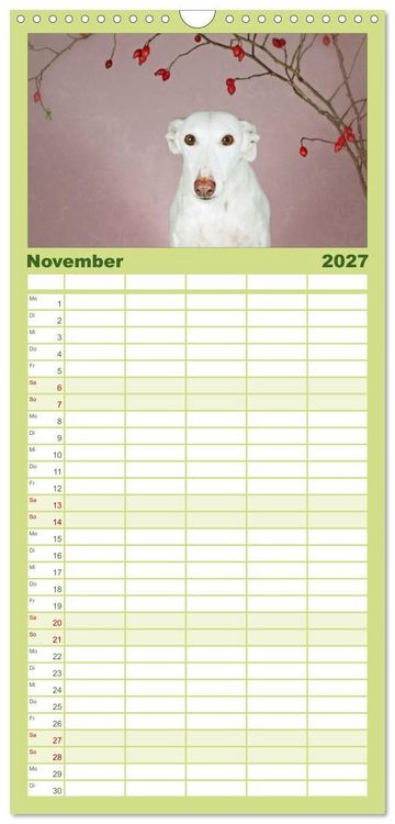 Produktbild: Familienplaner 2027 - Der Windhundekalender mit 5 Spalten (Wandkalender, 21 x 45 cm) CALVENDO
