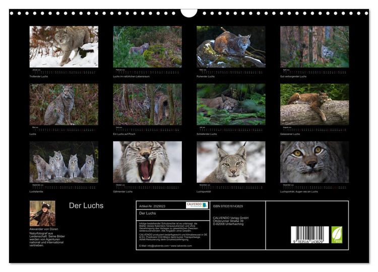 Produktbild: Der Luchs (Wandkalender 2026 DIN A3 quer), CALVENDO Monatskalender