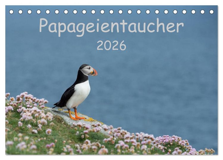 Produktbild: Papageientaucher 2026 (Tischkalender 2026 DIN A5 quer), CALVENDO Monatskalender
