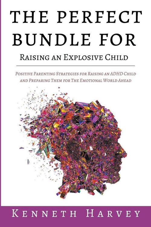 Produktbild: The Perfect Bundle For Raising an Explosive Child