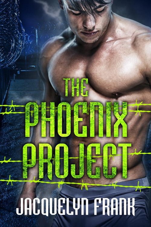 Produktbild: Phoenix Project