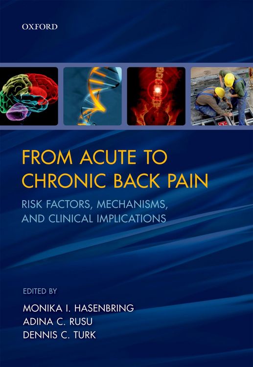 Produktbild: From Acute to Chronic Back Pain