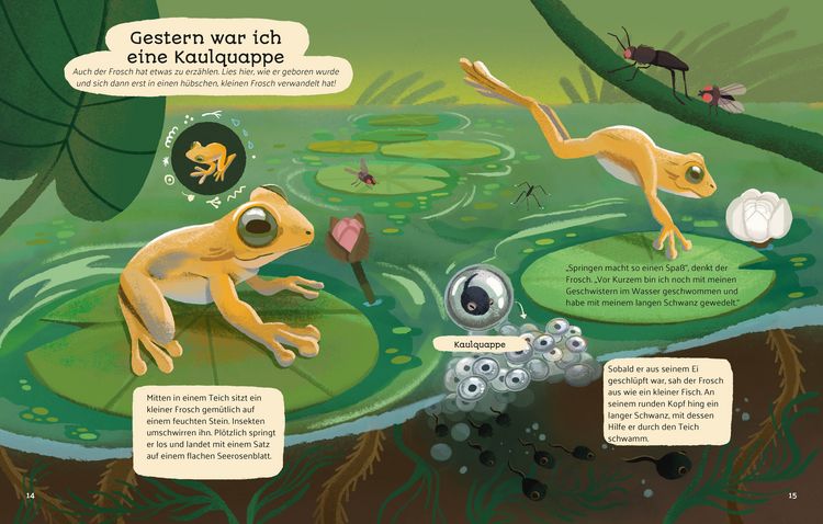 Produktbild: Kleine Geschichten aus der Natur