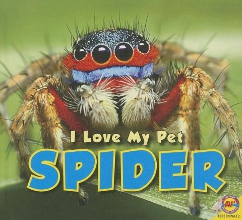 Produktbild: Spider