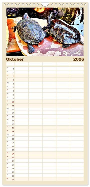 Produktbild: Familienplaner 2026 - Schmuckschildkr&ouml;ten - Schmuckst&uuml;cke der Natur mit 5 Spalten (Wandkalender, 21 x 45 cm) CALVENDO