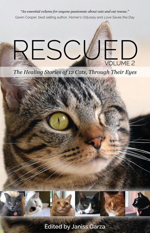 Produktbild: Rescued Volume 2