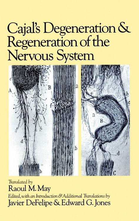 Produktbild: Cajal's Degeneration Hn C