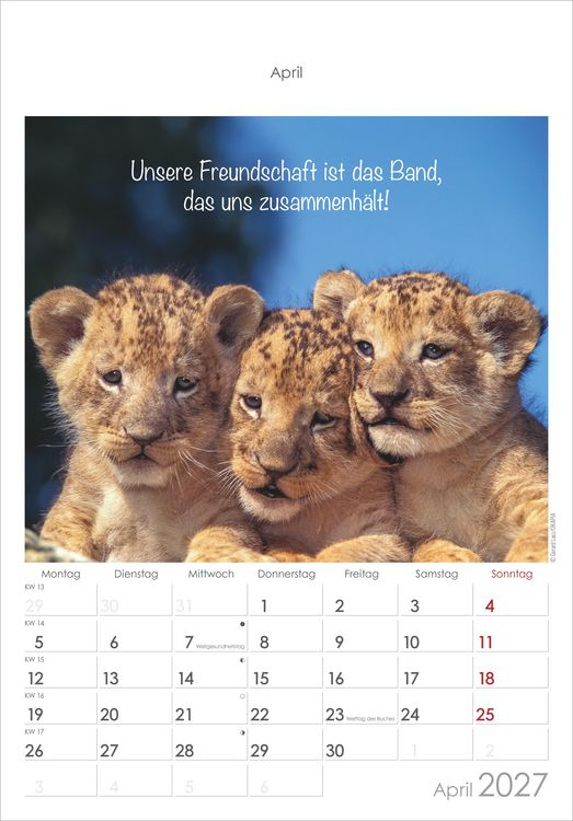 Produktbild: Kleine Freunde 2027