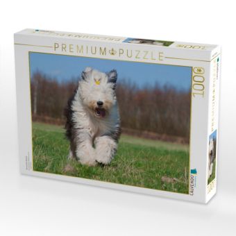 Produktbild: CALVENDO Puzzle Rennender Bobtail | 1000 Teile Lege-Gr&ouml;&szlig;e 64x48cm Foto-Puzzle f&uuml;r gl&uuml;ckliche Stunden