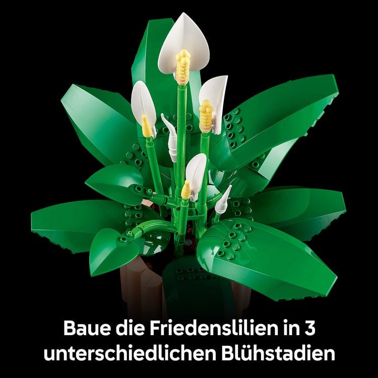 Produktbild: LEGO Botanicals 11504 Friedenslilie, Kunstblumen, DIY Deko Pflanzen