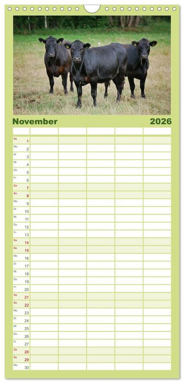 Produktbild: Familienplaner 2026 - Weiderinder im Frankenwald mit 5 Spalten (Wandkalender, 21 x 45 cm) CALVENDO