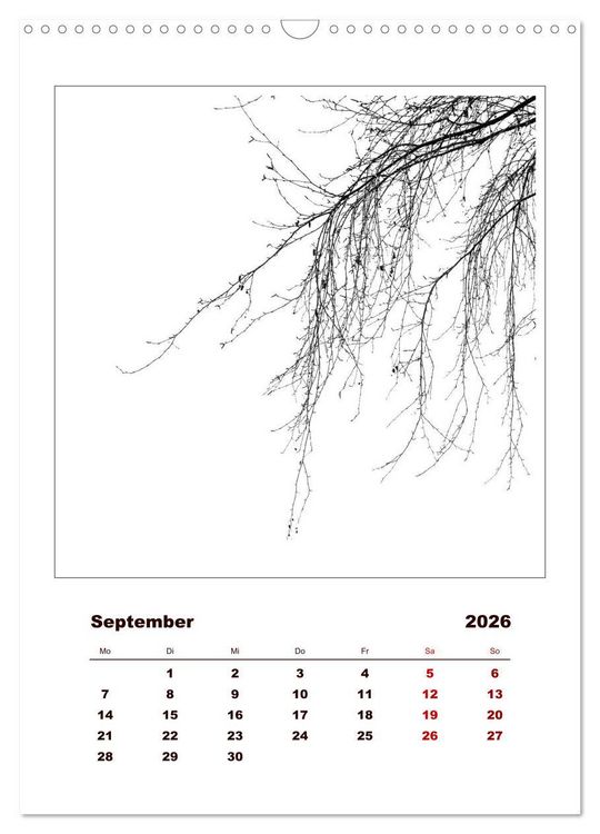 Produktbild: LignoGrafica - Muster und Strukturen der B&auml;ume (Wandkalender 2026 DIN A3 hoch), CALVENDO Monatskalender