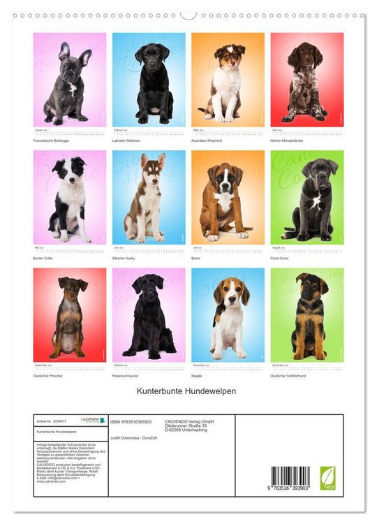 Produktbild: Kunterbunte Hundewelpen (hochwertiger Premium Wandkalender 2026 DIN A2 hoch), Kunstdruck in Hochglanz