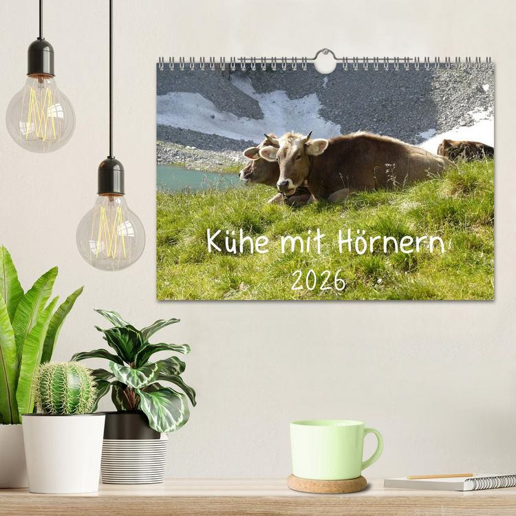 Produktbild: K&uuml;he mit H&ouml;rnern (Wandkalender 2026 DIN A4 quer), CALVENDO Monatskalender