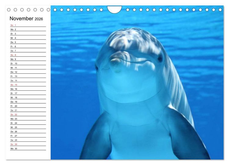 Produktbild: Delfine - L&auml;chelnde Intelligenz (Wandkalender 2026 DIN A4 quer), CALVENDO Monatskalender