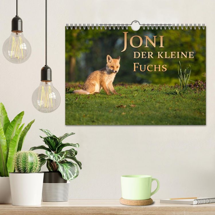 Produktbild: Joni, der kleine Fuchs (Wandkalender 2026 DIN A4 quer), CALVENDO Monatskalender