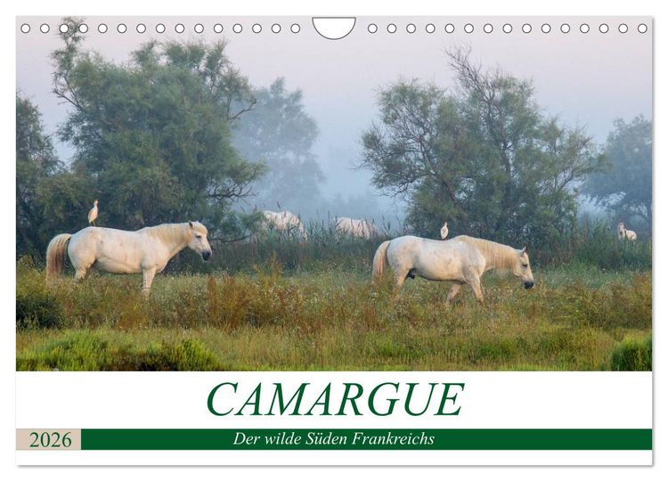 Produktbild: Camargue - Der wilde S&uuml;den Frankreichs (Wandkalender 2026 DIN A4 quer), CALVENDO Monatskalender