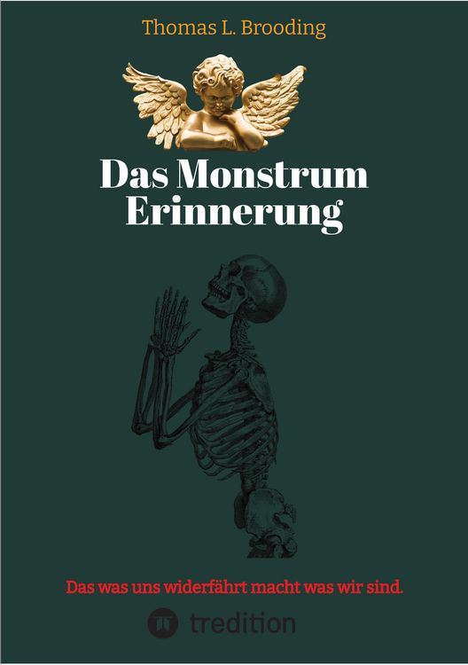 Produktbild: Das Monster Erinnerung. Manchen Schmerz m&ouml;chte man vergessen. Aber nach &uuml;ber 60 Lebensjahren l&auml;sst sich auch von Engeln der Erinnerung berichten.