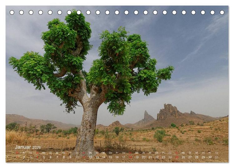 Produktbild: Afrikanische B&auml;ume (Tischkalender 2026 DIN A5 quer), CALVENDO Monatskalender