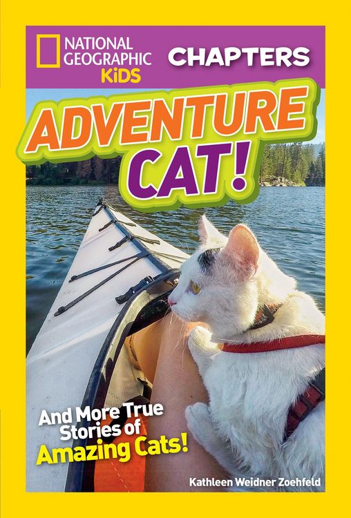 Produktbild: Adventure Cat!