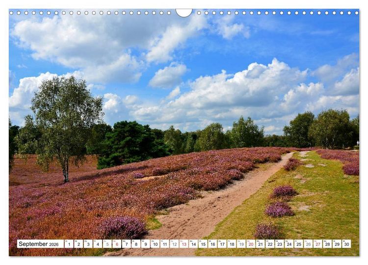 Produktbild: Wege gehen... (Wandkalender 2026 DIN A3 quer), CALVENDO Monatskalender
