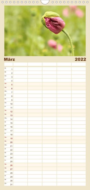 Produktbild: Familienplaner Mohnsch&ouml;nheiten (Wandkalender 2022 , 21 cm x 45 cm, hoch)