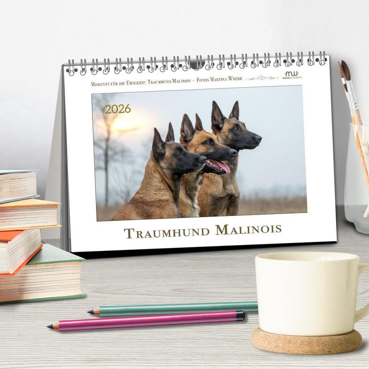 Produktbild: Traumhund Malinois (Tischkalender 2026 DIN A5 quer), CALVENDO Monatskalender
