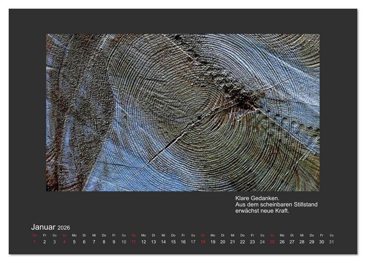 Produktbild: MAGIE HOLZ 2026 (Wandkalender 2026 DIN A3 quer), CALVENDO Monatskalender