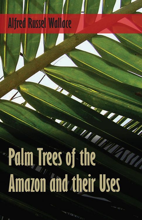 Produktbild: Palm Trees of the Amazon and their Uses