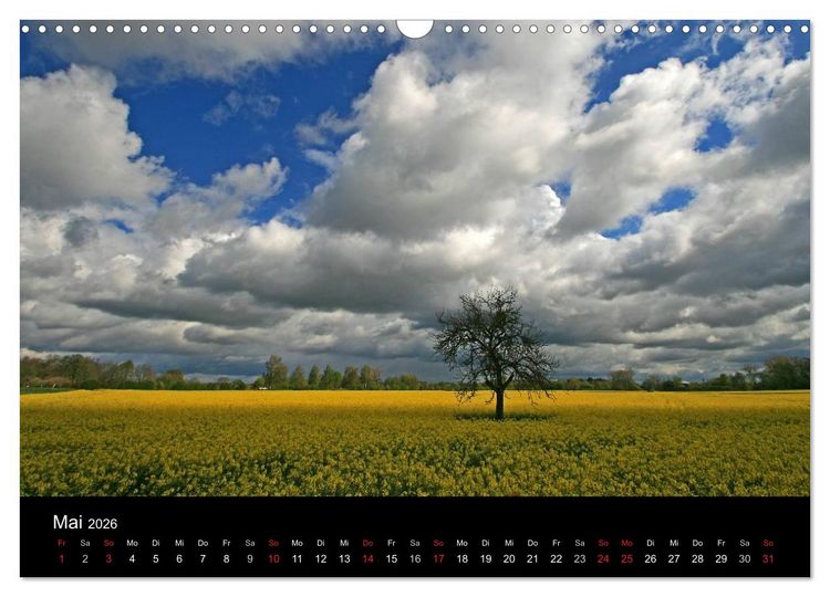 Produktbild: Mein Ortenaukalender 2026 (Wandkalender 2026 DIN A3 quer), CALVENDO Monatskalender