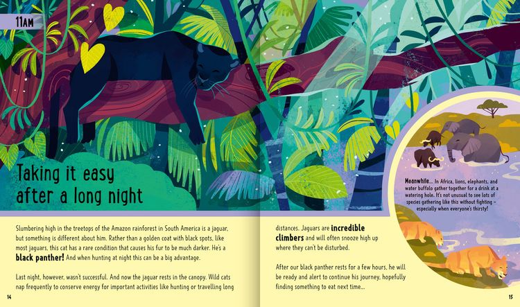 Produktbild: Big Cats (A Day in the Life)