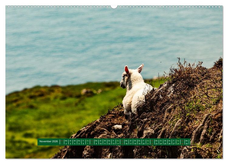 Produktbild: Wir sehen uns in Irland - Ring of Beara und Ring of Kerry (Wandkalender 2026 DIN A2 quer), CALVENDO Monatskalender