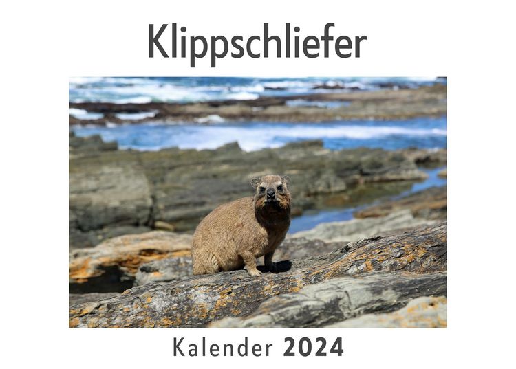Produktbild: Klippschliefer (Wandkalender 2024, Kalender DIN A4 quer, Monatskalender im Querformat mit Kalendarium, Das perfekte Geschenk)
