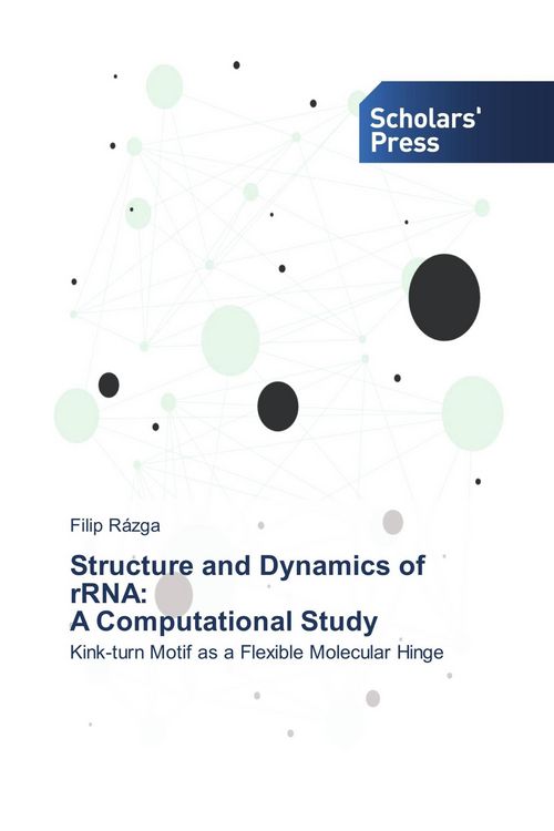 Produktbild: Structure and Dynamics of rRNA: A Computational Study