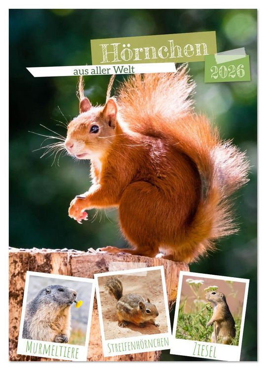 Produktbild: H&ouml;rnchen aus aller Welt (Wandkalender 2026 DIN A3 hoch), CALVENDO Monatskalender