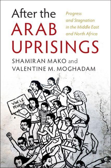 Produktbild: After the Arab Uprisings