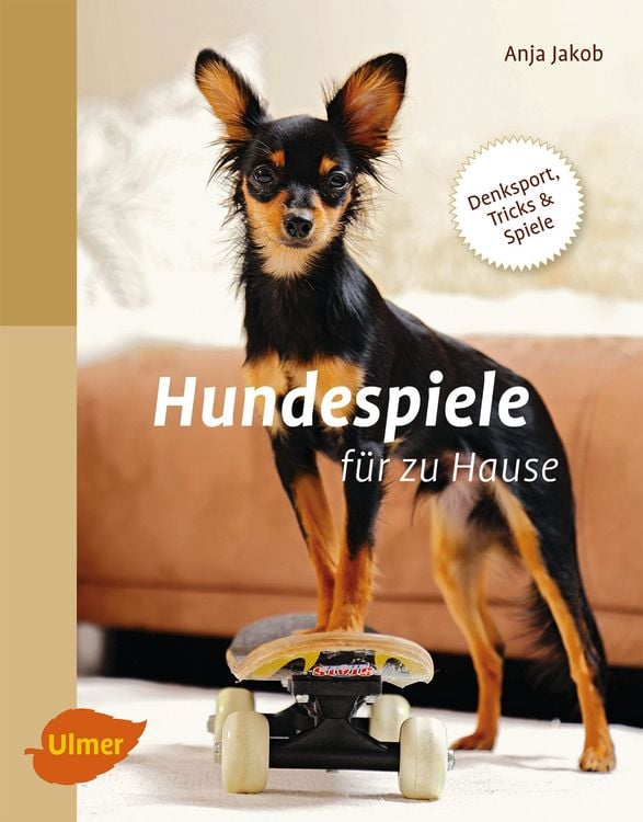 Bild vom Artikel Hundespiele für zu Hause vom Autor Anja Jakob