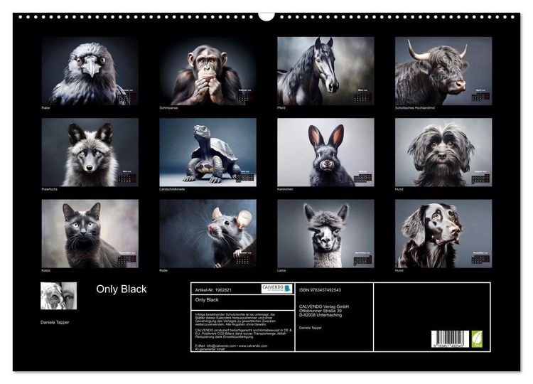 Produktbild: Only Black (Wandkalender 2026 DIN A2 quer), CALVENDO Monatskalender
