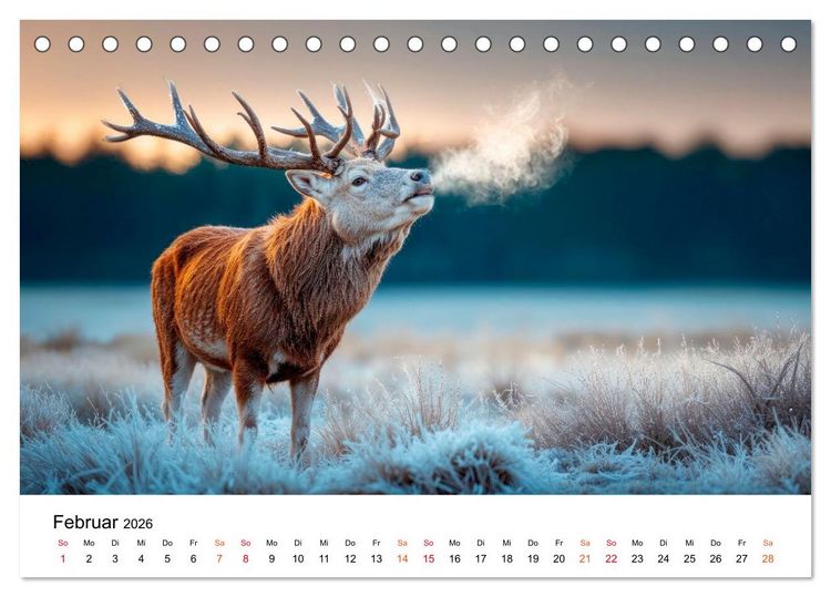 Produktbild: Tierische Jahreszeiten (Tischkalender 2026 DIN A5 quer), CALVENDO Monatskalender