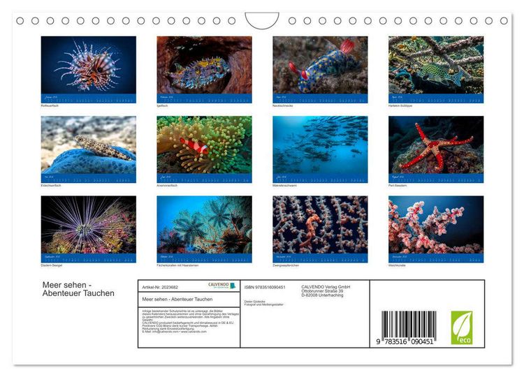 Produktbild: Meer sehen - Abenteuer Tauchen (Wandkalender 2026 DIN A4 quer), CALVENDO Monatskalender