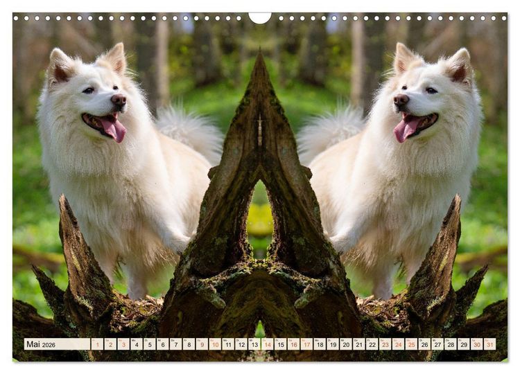 Produktbild: Mit doppelter Power durch das Jahr (Wandkalender 2026 DIN A3 quer), CALVENDO Monatskalender