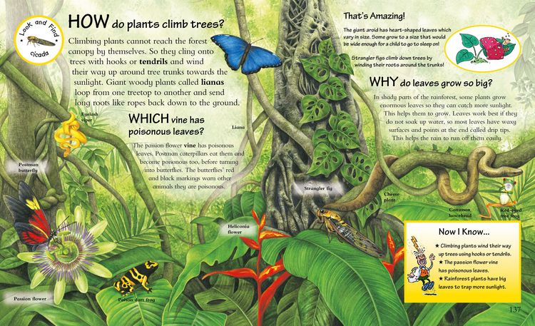 Produktbild: What? Where? Why?: Questions and Answers About Nature?