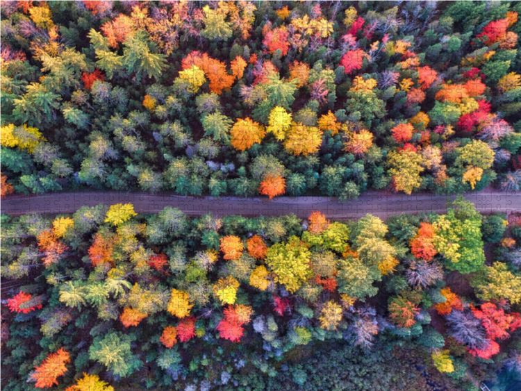 Produktbild: CALVENDO Puzzle Farbenpracht des Waldes im Indian Summer 1000 Teile Lege-Gr&ouml;&szlig;e 64 x 48 cm Foto-Puzzle Bild von Renate Bleicher