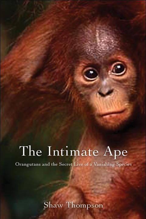 Produktbild: Thompson, S: The Intimate Ape