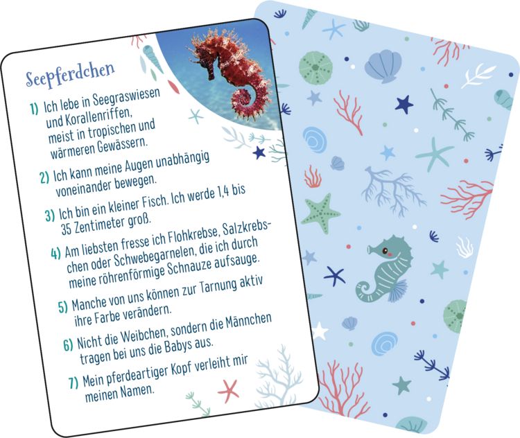 Kennst du das Meer?